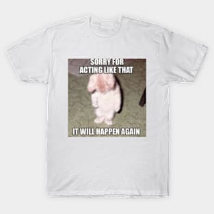 cat meme 2024 T-Shirt